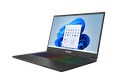 Tulpar T7 V21.8.1 17,3" Gaming Laptop 20648